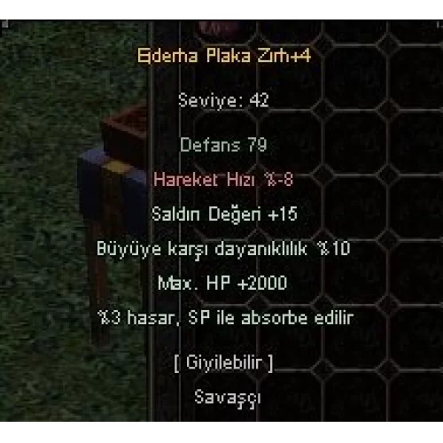  +4 EJDERHA PLAKA ZIRH 2K HP STR ELIT